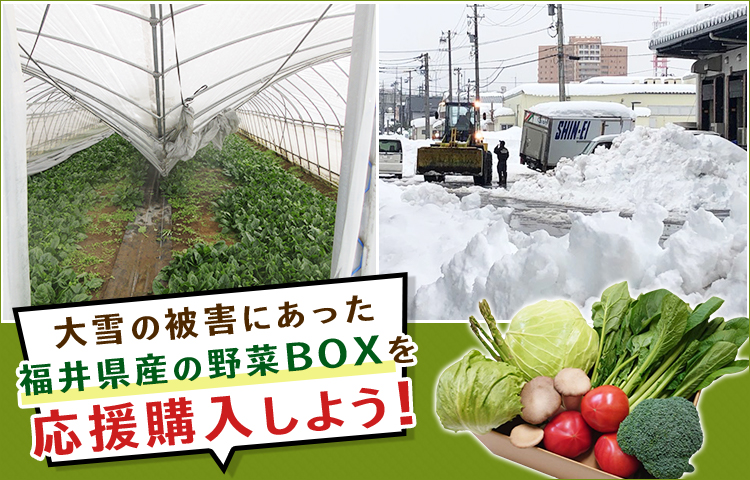 大雪の被害にあった福井県産の野菜BOXを応援購入しよう！